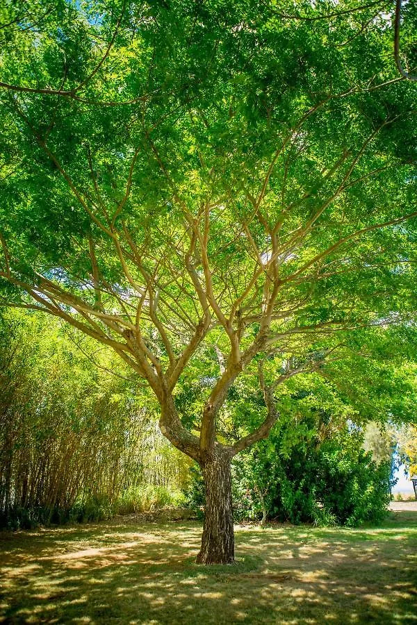 Lumeria Maui, Educational Retreat Center Makawao United States
